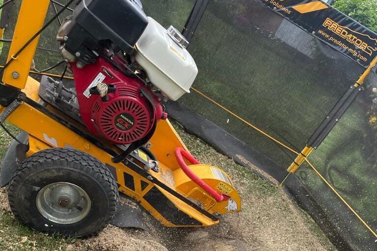 tree work, arborist, tree surgeon, tree surgery, MEWP, Tree, Tree felling, Tree dismantle, Crown thinning, Crown lifting, Stump grinding, tree services near me, tree care near me, tree surgeons in Nottingham, tree surgeons,tree work, tree removal, tree surgeon near me,tree services, tree removal, tree service near me,tree trimmers near me, tree care services,tree experts near me,