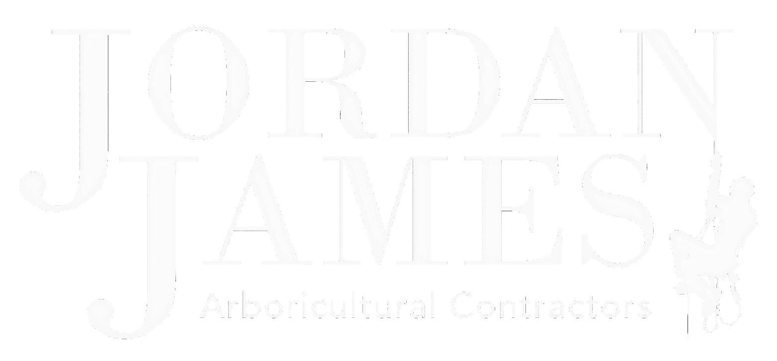 white Jordan James Arb logo, tree services near me, tree care near me, tree surgeons in Nottingham, tree surgeons,tree work, tree removal, tree surgeon near me,tree services, tree removal, tree service near me,tree trimmers near me, tree care services,tree experts near me,